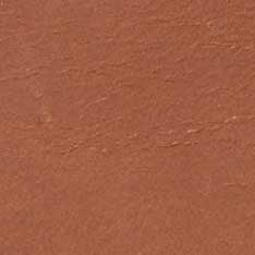 The Foundation Belt in Whiskey - Image 8